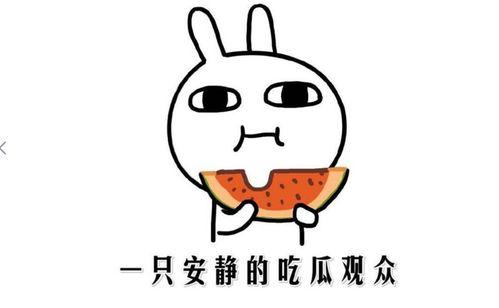 免费吃瓜什么意思,网络热词背后的文化现象 第2张 免费吃瓜什么意思,网络热词背后的文化现象 第2张