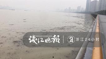 记者爆料钱塘江视频,揭秘事件背后惊人真相 第2张 记者爆料钱塘江视频,揭秘事件背后惊人真相 第2张